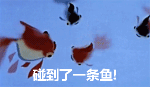 小蝌蚪找妈妈表情包