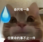 巴黎奥运会安保计划被偷后 网友：别冤枉小偷了！