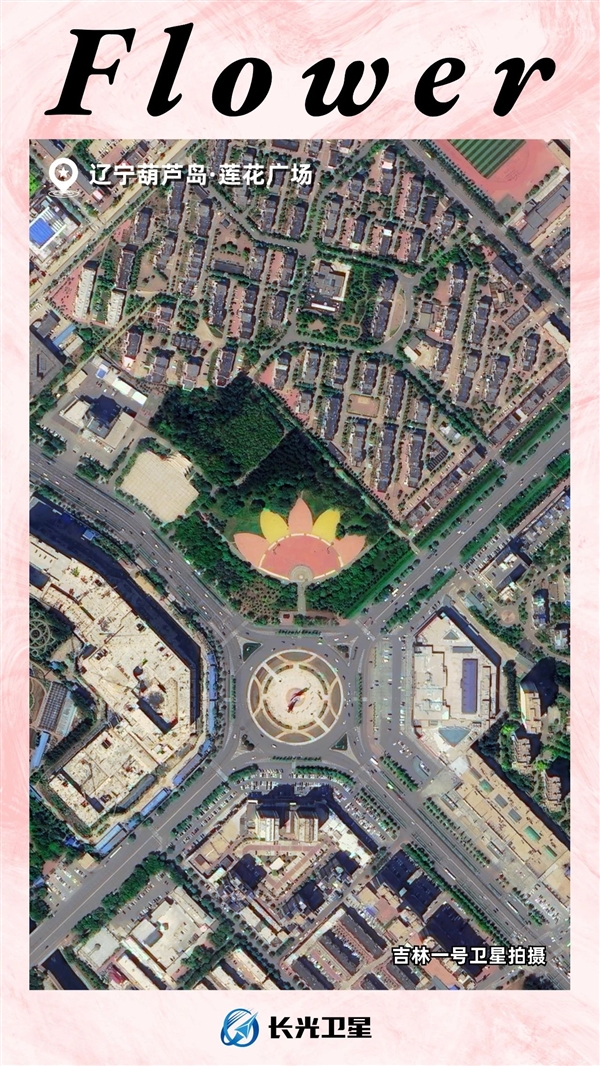 今天三八 从卫星图上摘几朵“花”