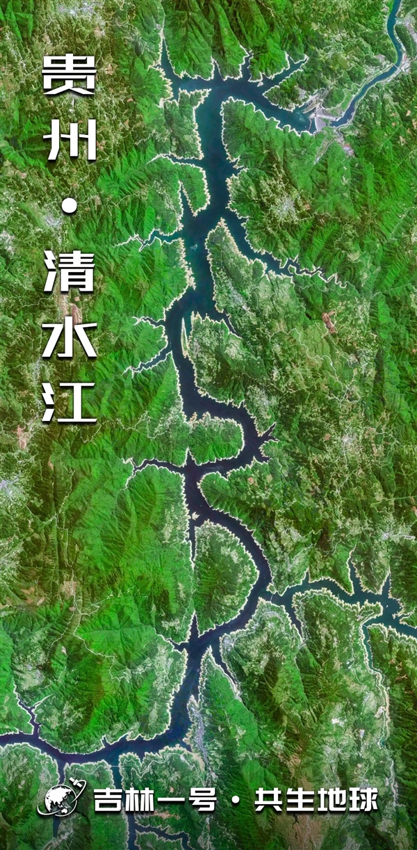 原来 地球上藏着这么多“龙”！