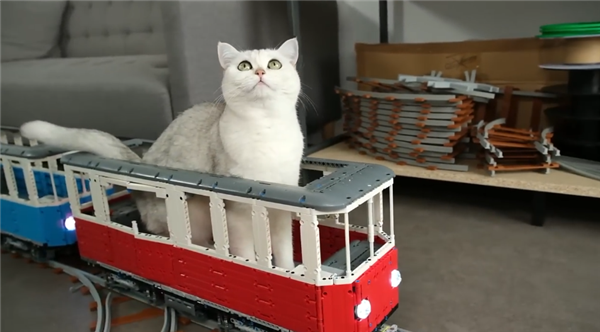 大神用乐高给猫咪造了一辆火车：隔壁狗子馋哭了！