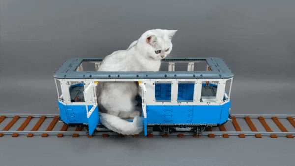 大神用乐高给猫咪造了一辆火车：隔壁狗子馋哭了！