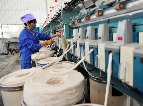 快被中国抛弃的农作物黄麻 却被印度当作宝！养活印度400多万人