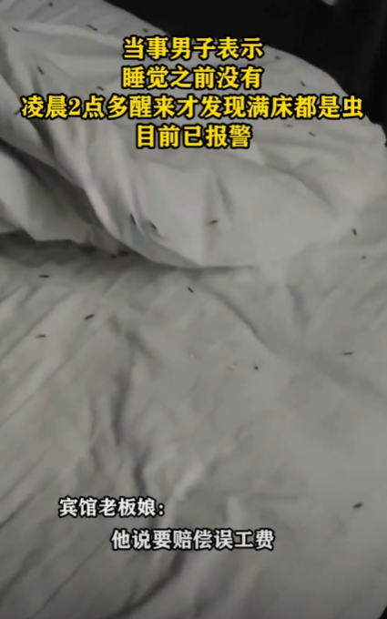 密恐慎点！男子住宾馆半夜惊醒：开灯后满床爬虫
