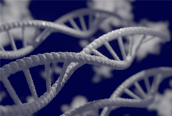 人类有望攻克艾滋病了！荷兰科学家成功清除已感染的HIV病毒