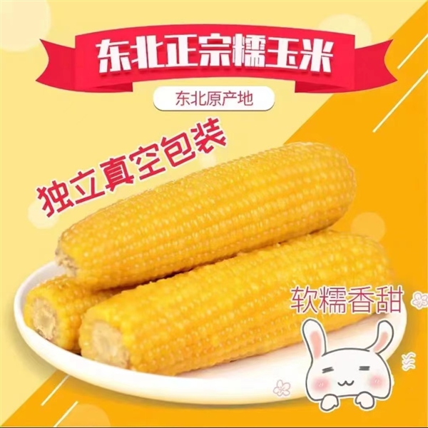正宗东北味 香糯Q弹：吉林农投黄糯玉米2.79元/根狂促