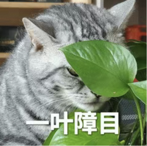 你是不是总感觉“一洗车就下雨”：大脑玩的小把戏！