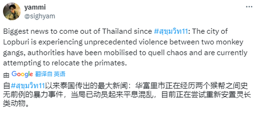 猴子黑帮街头火拼入侵小镇 逼迫人类逮捕帮派头目