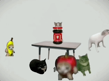 这届年轻人 正在用小猫演绎自己的精神状态