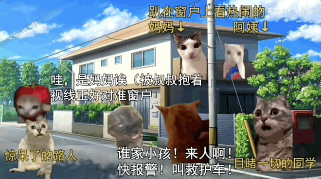 这届年轻人 正在用小猫演绎自己的精神状态