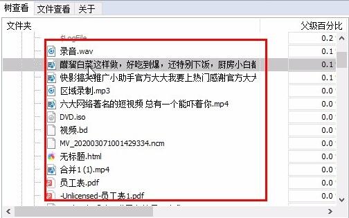 wiztree该删什么文件详细介绍