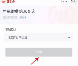 《鄂汇办》查询医保缴费记录方法