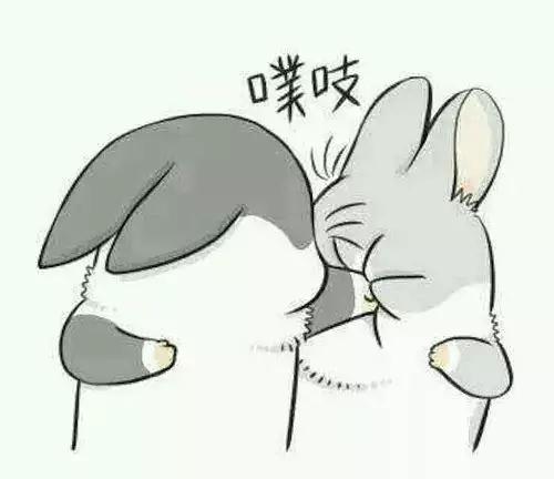情侣头像表情包一对