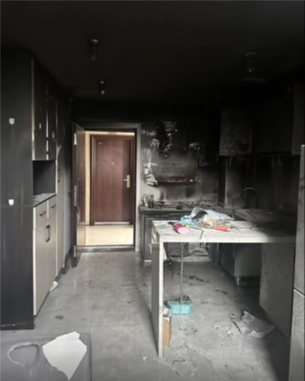 四川一小猫竟成“纵火犯” 误开电磁炉把家炸了 如今直播还债