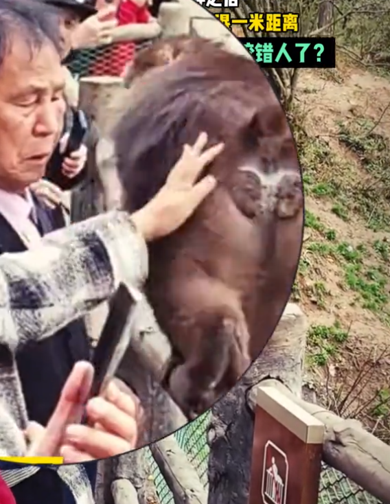 大妈摸猴子屁股致旁边大爷被咬伤引热议 网友：大爷扛下所有