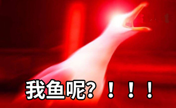 活久见：百万网友排队帮鱼按门铃！