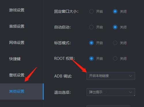 雷电模拟器ldbk怎么用