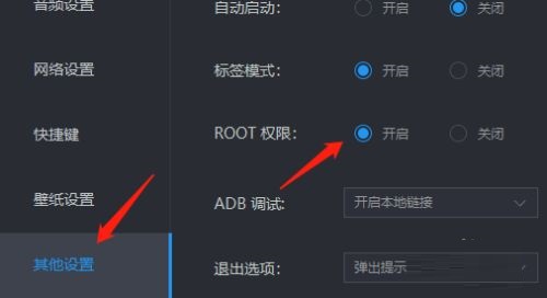 雷电模拟器在哪开启root权限