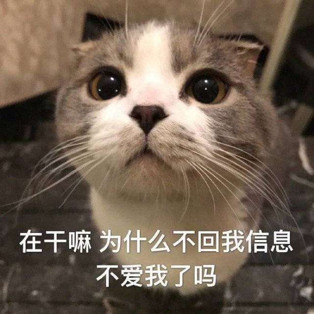 电话不接信息不回是什么梗