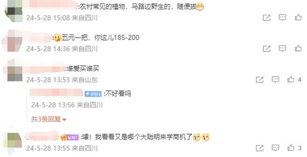 下周端午节放假3天不调休：新式艾草花束爆火近200一把