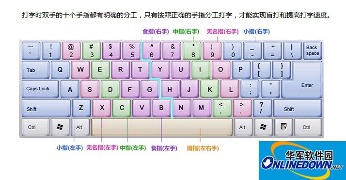 金山打字通怎么练手指