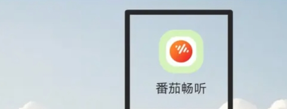 番茄畅听怎么更改声音