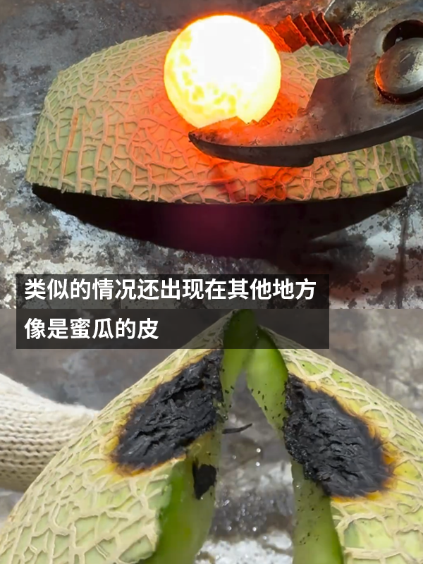 菠萝皮能抗住1000°C铁球吗：有人做了一次真实试验