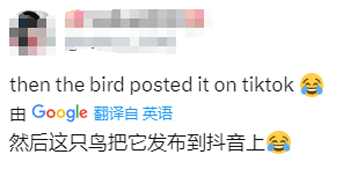 美女自拍时手机被鸟抢走！手机秒变飞机、还拍了视频