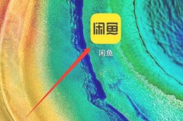 闲鱼权限在哪里设置