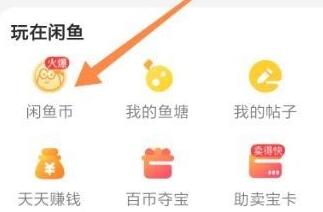 闲鱼币在哪儿看