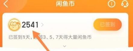 闲鱼币在哪儿看