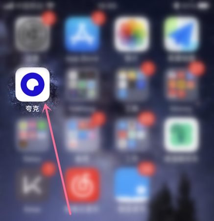 夸克浏览器怎么看网址