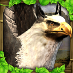 狮鹫模拟器(griffin sim)内购修改版