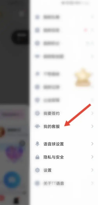 tt语音怎么做陪玩挣钱