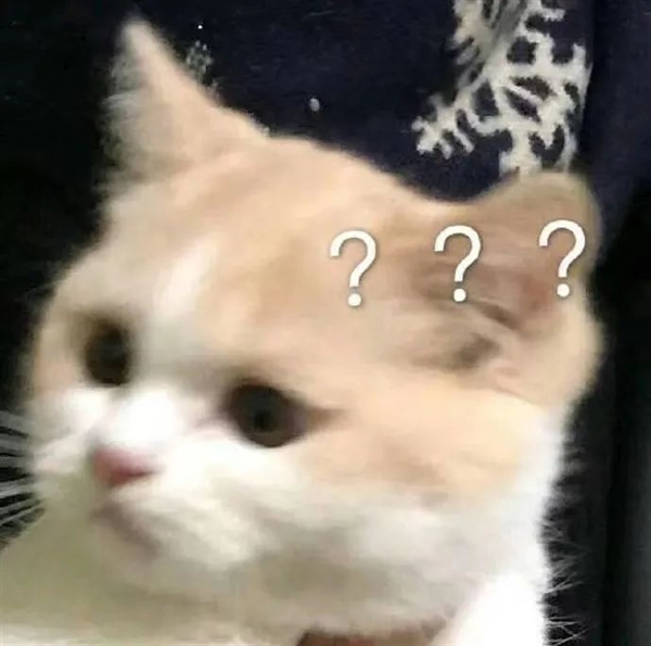 在鸡面前画一条线 就能把它催眠！真如此离谱？