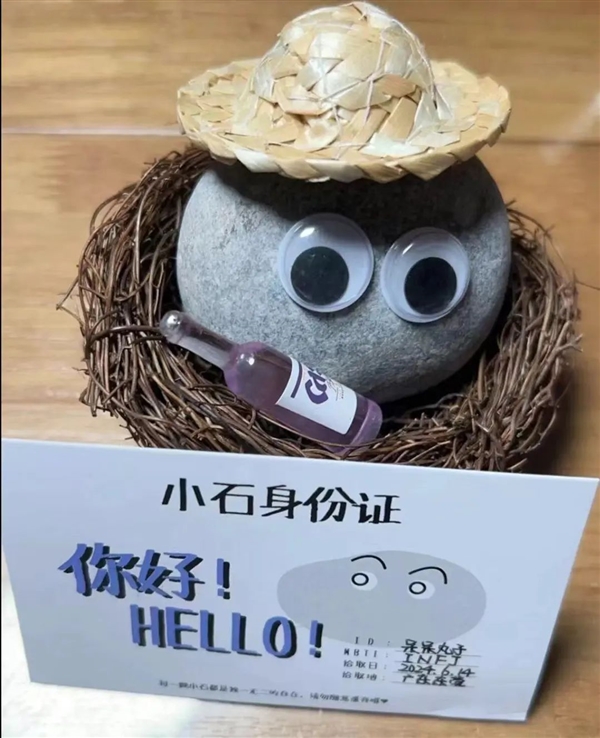 石头、牙膏、芒果核：没有什么东西 是网友们养不了的