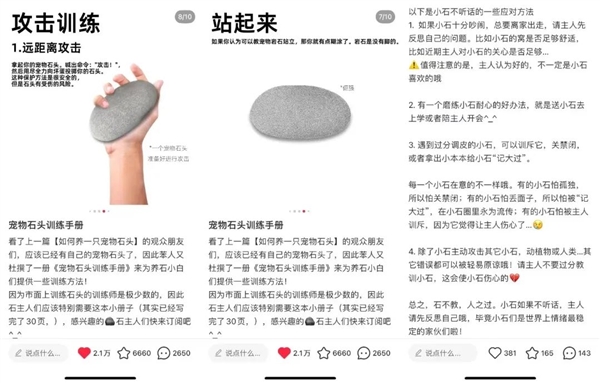 石头、牙膏、芒果核：没有什么东西 是网友们养不了的