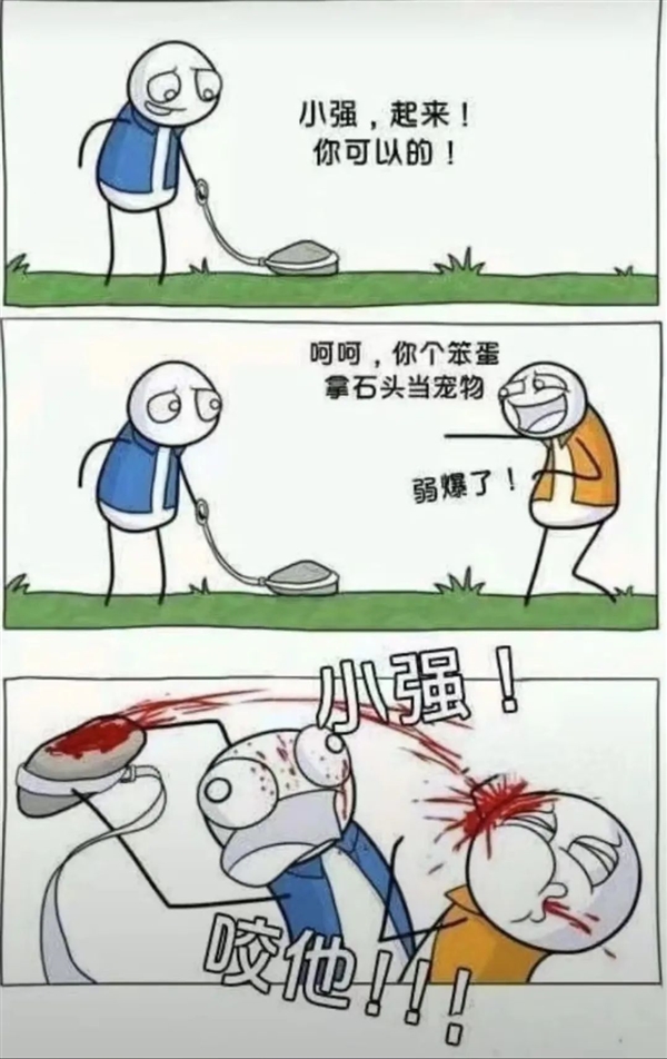 石头、牙膏、芒果核：没有什么东西 是网友们养不了的