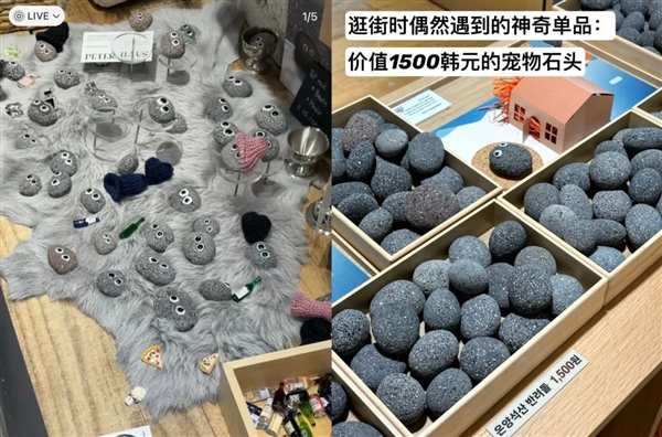 石头、牙膏、芒果核：没有什么东西 是网友们养不了的