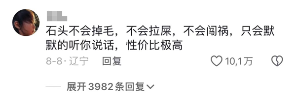 石头、牙膏、芒果核：没有什么东西 是网友们养不了的