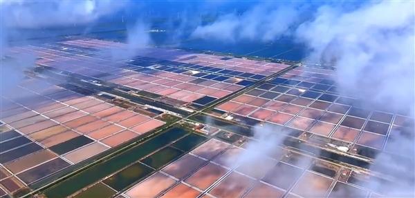 江苏现1.5万亩巨型眼影盘:画面震撼