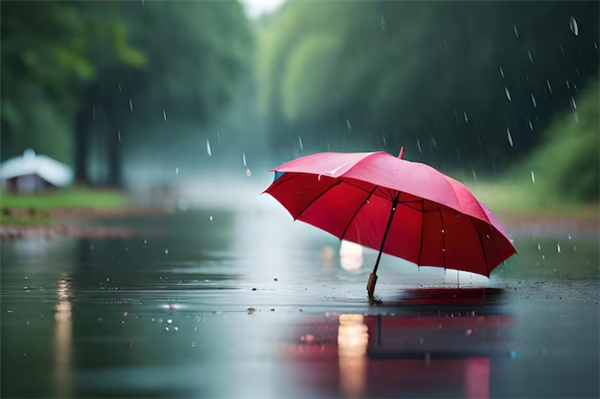 做好防范准备!暴雪和超强台风都来了