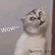 苹果14年来最严重产品泄漏!M4版MacBook还没发:开箱视频满天飞