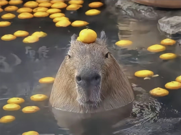 造型撞脸卡皮巴拉!全新宝马X3下线:国产版明年开启交付