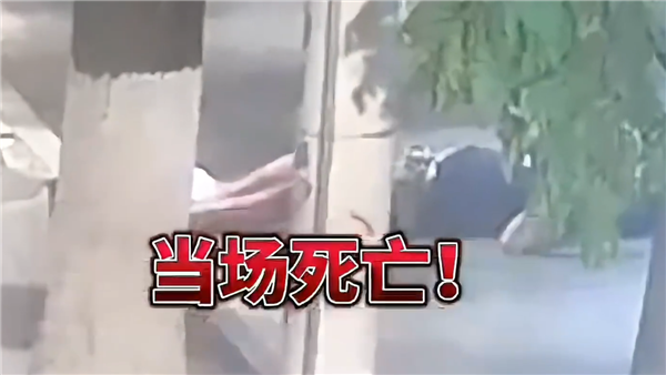 男子醉酒后骑电动车头撞大树:因没戴头盔当场身亡