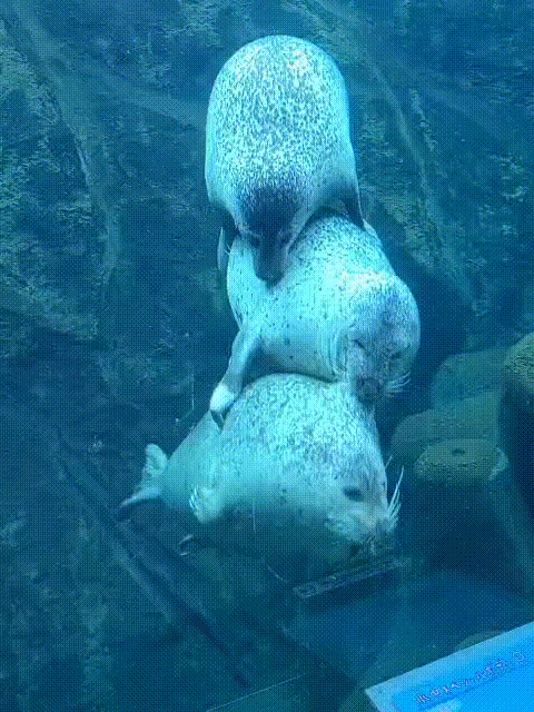 都年底了 8Gen3旗舰还值得买 而且很值!