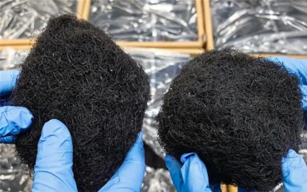 男子网售野生发菜获刑:一级保护植物、非法采摘销售属犯罪