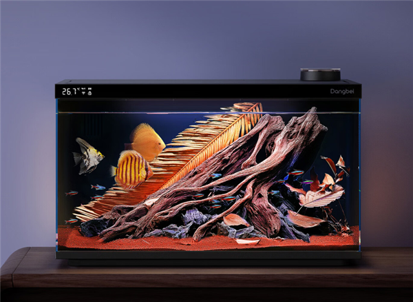 首发599元!当贝智能鱼缸1 Ultra发布:懒人养鱼超省事
