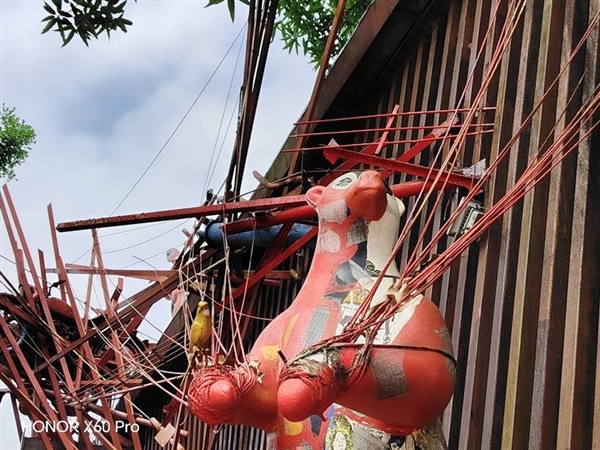 从2米高度跌落完好无损!荣耀X60 Pro体验