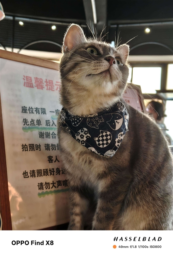 OPPO Find X8上手:OPPO最佳直屏旗舰